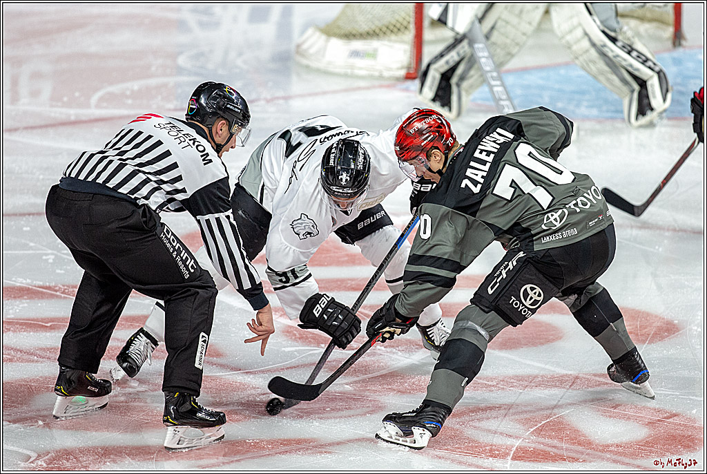 DEL; Koelner Haie - Thomas Sabo Ice Tigers, 28.11.2018